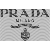 Brand Catalog-ZX 458